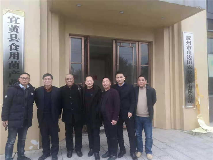 ��ɳ(8087-js��֤)�鳡��-Officialwebsite