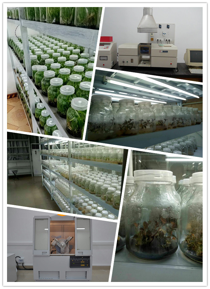 ��ɳ(8087-js��֤)�鳡��-Officialwebsite