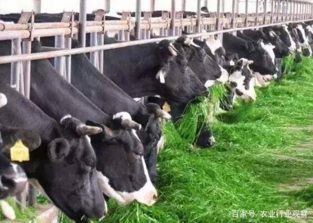 ��ɳ(8087-js��֤)�鳡��-Officialwebsite