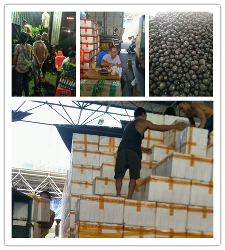 ��ɳ(8087-js��֤)�鳡��-Officialwebsite