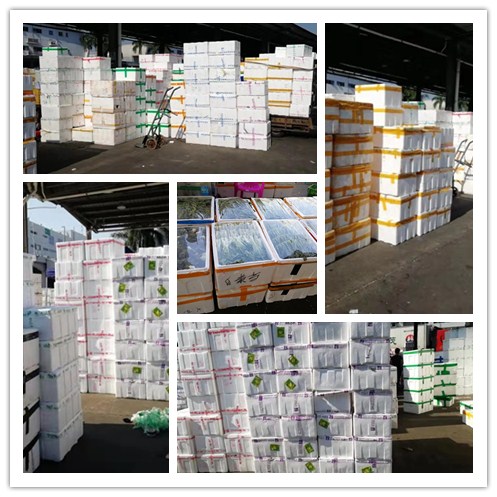 ��ɳ(8087-js��֤)�鳡��-Officialwebsite