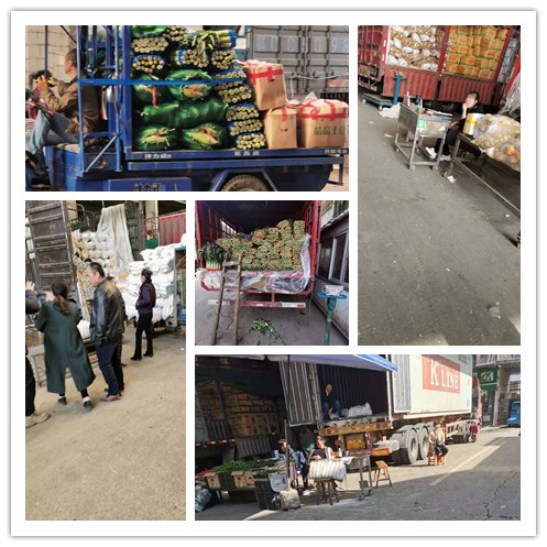 ��ɳ(8087-js��֤)�鳡��-Officialwebsite