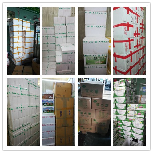 ��ɳ(8087-js��֤)�鳡��-Officialwebsite