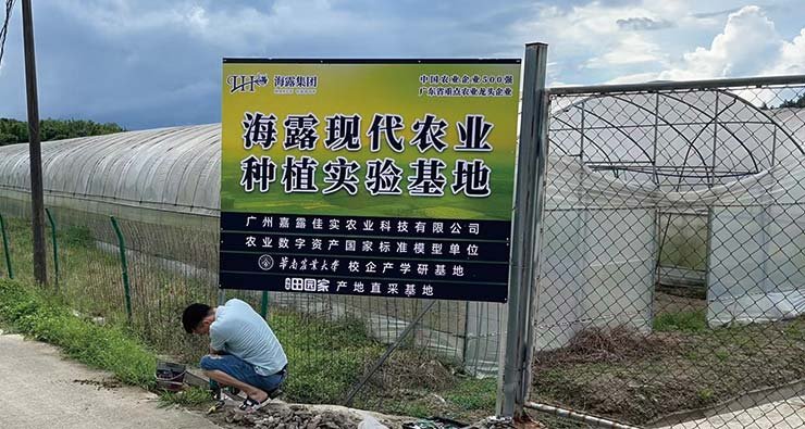 ��ɳ(8087-js��֤)�鳡��-Officialwebsite