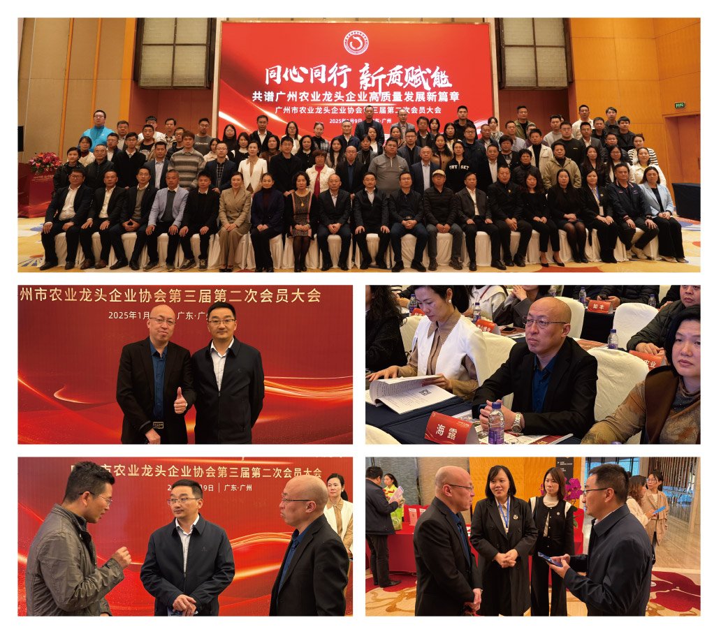 ��ɳ(8087-js��֤)�鳡��-Officialwebsite