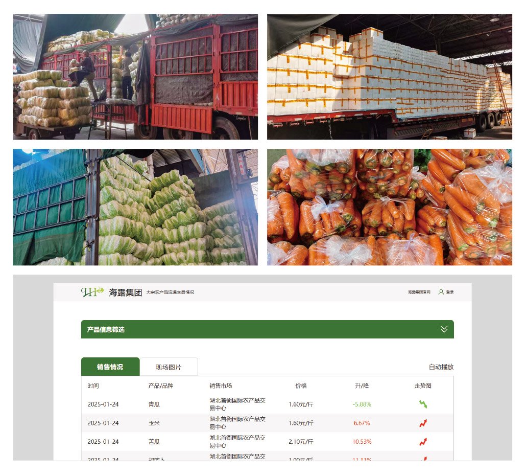 ��ɳ(8087-js��֤)�鳡��-Officialwebsite