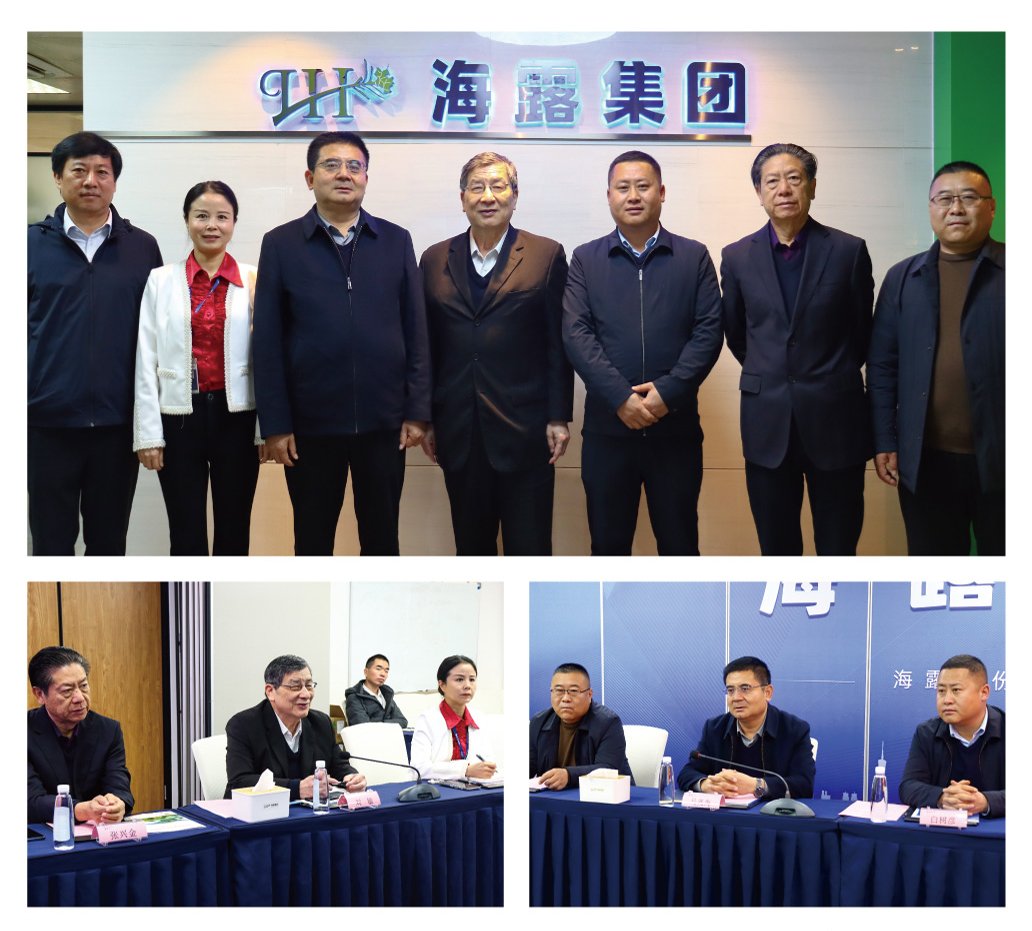 ��ɳ(8087-js��֤)�鳡��-Officialwebsite